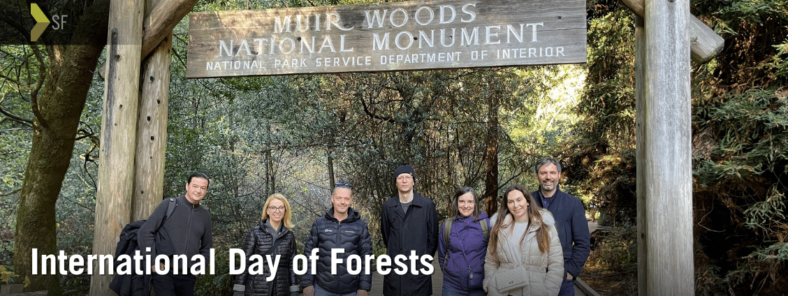 International Visitors enjoying Muir Woods National Monument
